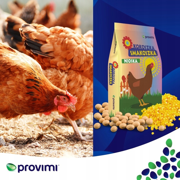 PASZA DLA KUR NIOSEK Kokoszka Smakoszka SYPKA Kury dzióbią AŻ KORYTKO PĘKA!