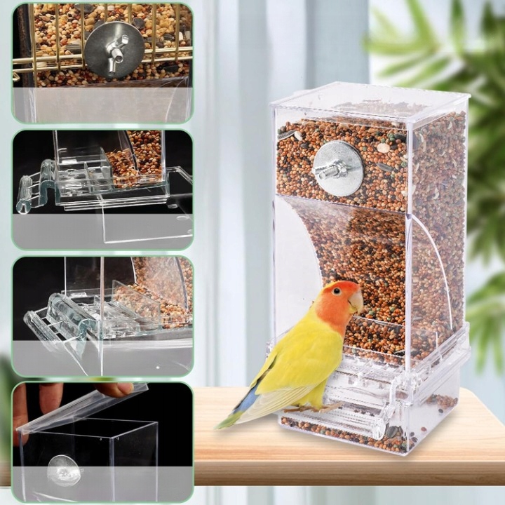 AUTOMATYCZNY DOZOWNIK KARMNIK DLA PTAKÓW PAPUG NIMFY KANARKI
