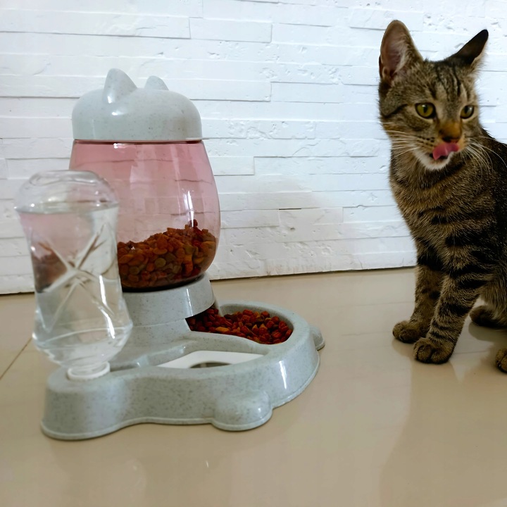 AUTOMATYCZNY PODAJNIK WODY I KARMY MISKA DLA KOTA I PSA DOZOWNIK 2W1 POIDŁO