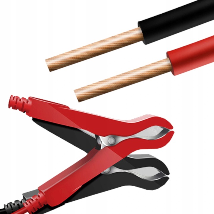 MOCNY PROSTOWNIK AUTOMATYCZNY SAMOCHODOWY LCD 100Ah LCD 12V 6A