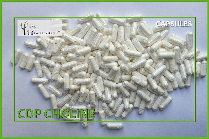 FOREST CDP CHOLINA CYTYKOLINA 60kaps PAMIĘĆ KONCENTRACJA ENERGIA MOCNA