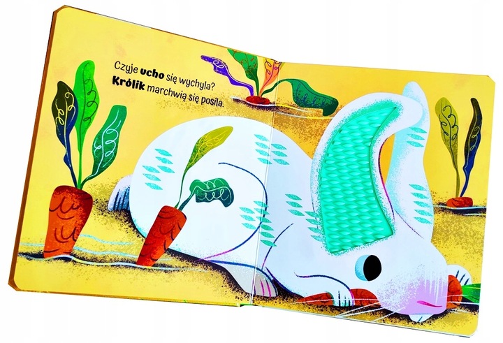 KSIĄŻECZKA KSIĄŻKA DOTYKOWA SENSORYCZNA WIEŚ