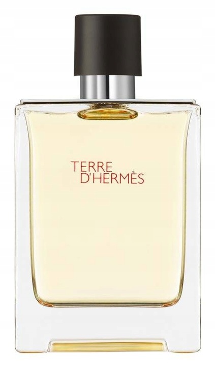Hermès Terre D'Hermes 100ml woda toaletowa mężczyzna EDT