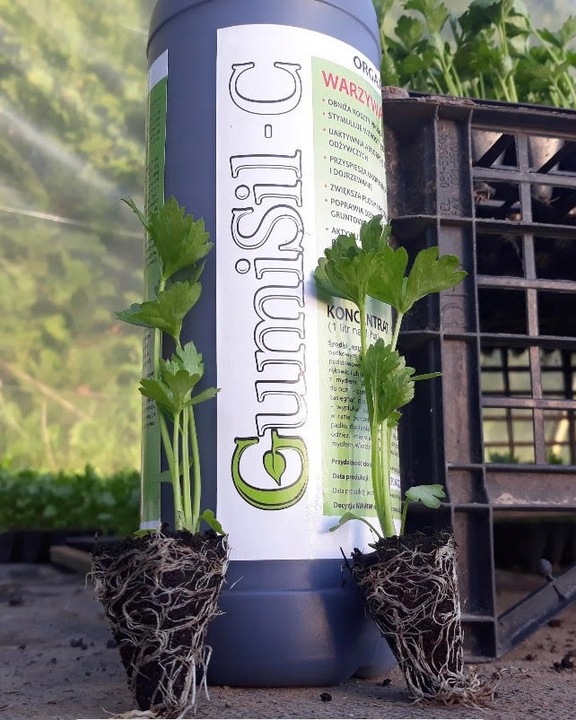 STYMULATOR DO WARZYW GUMISIL TRICHODERMA ROZSADY! EKO NAWÓZ BIOLOGICZNY TOP