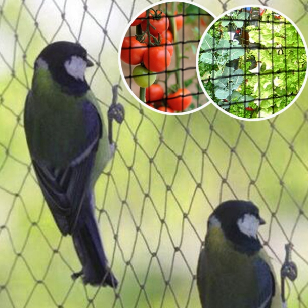 MOCNA SIATKA przeciw PTAKOM na BALKON na Drzewka Wolierę 7,5 x 7,5 m