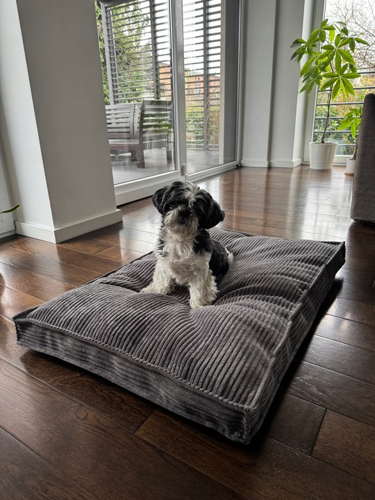 Legowisko Posłanie Poducha MIĘKKIE PLUSZOWE 100x70cm ASO szary