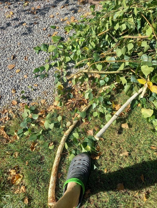 SEKATOR OGRODOWY TELESKOPOWY WYSIĘGNIK PIŁA 2W1 DO GAŁĘZI KRZEWÓW KONARÓW