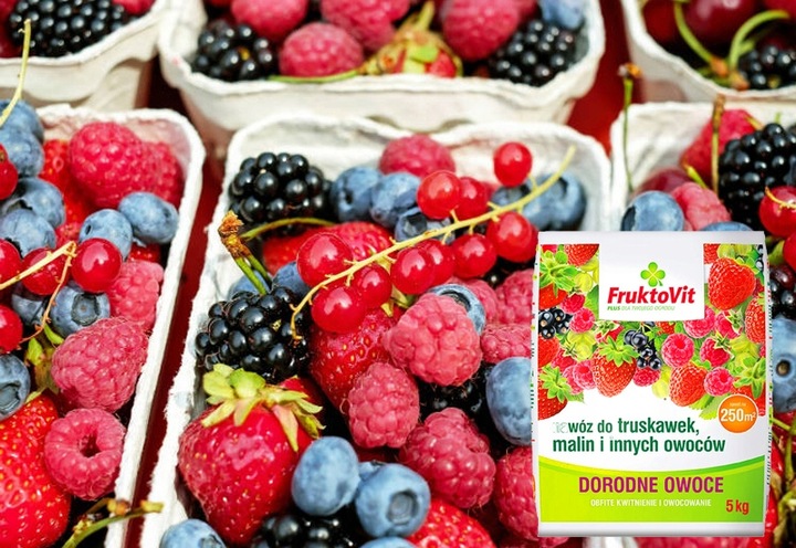 NAWÓZ DO TRUSKAWEK MALIN JEŻYN WIOSENNY FRUKTOVIT PLUS OBFITE PLONY 5 KG