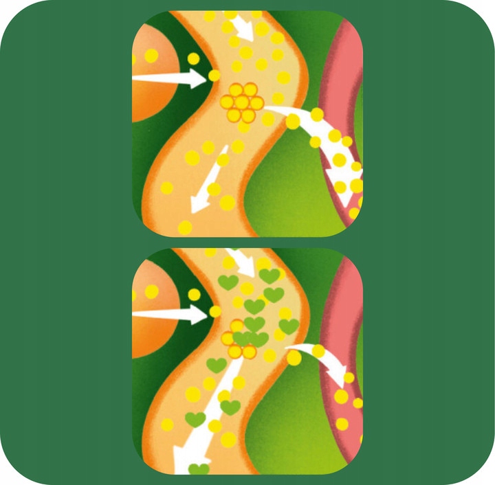 Danacol Plus w żelu na obniżenie cholestereolu smak cytrusowy 3x21 saszetek