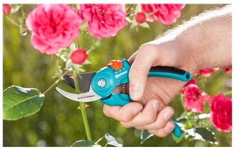 Sekator nożyce ogrodowy GARDENA Classic B/S-M