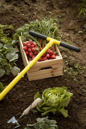 XXL KULTYWATOR SPULCHNIACZ GLEBY RĘCZNY ADLER