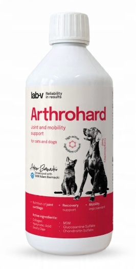 LAB-V ARTHROHARD 500 ml