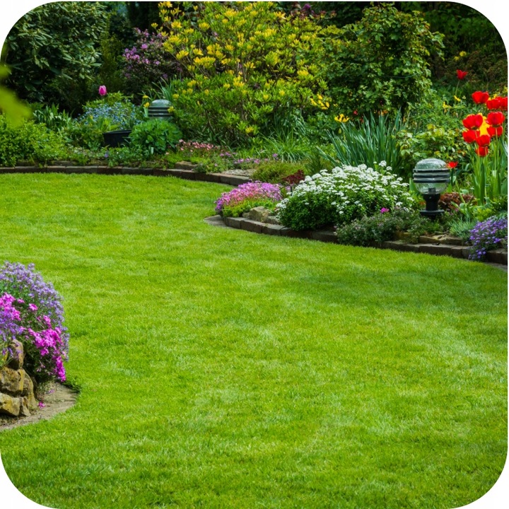 FLOROVIT Szybki Efekt 25kg NAWÓZ DO TRAWY TRAWNIKA NA TRAWNIK