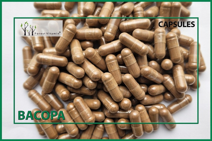 BACOPA MONNIERI BRAHMI 500mg PAMIĘĆ BAKOPA 120 k