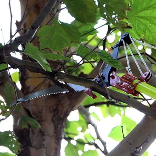 SEKATOR GĄSIENICOWY DO GAŁĘZI TELESKOPOWY ŻYRAFA NA TELESKOP WYSIĘGNIK