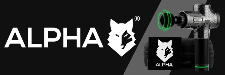 PISTOLET DO MASAŻU MASAŻER DO PLECÓW CIAŁA MASSAGE GUN PRO ALPHA