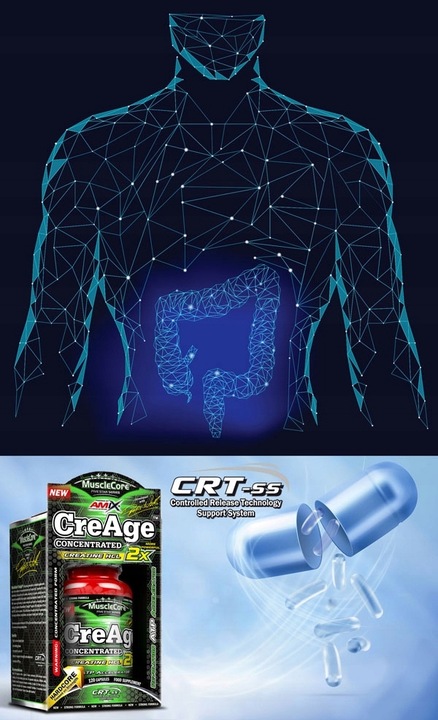 Mocna Kreatyna Tabletki Booster Testosteronu - Odżywki na Mięśnie Siłę Masę