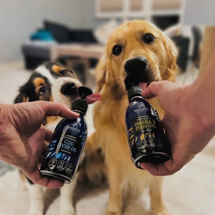 HOLISTA Olej OMEGA 3 Fish Oil dla Psa KOTA KWASY OMEGA EPA DHA BARF 100ml