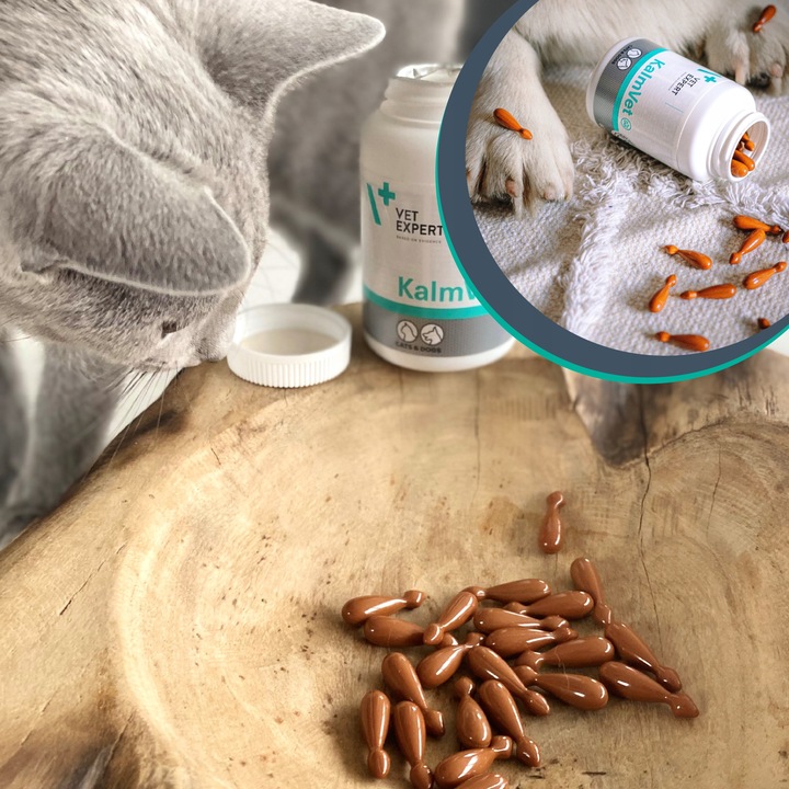 Preparat dla psów i kotów na stres Vet Expert Kalmvet 60 kapsułek twist-off