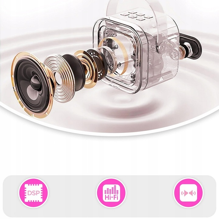 2 MIKROFONY USB JACK GŁOŚNIK PRZENOŚNY ZESTAW DO KARAOKE RGB BLUETOOTH