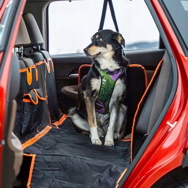 MATA DLA PSA DO SAMOCHODU OCHRONNA UNIWERSALNA POKROWIEC 4W1 SAMOCHODOWA