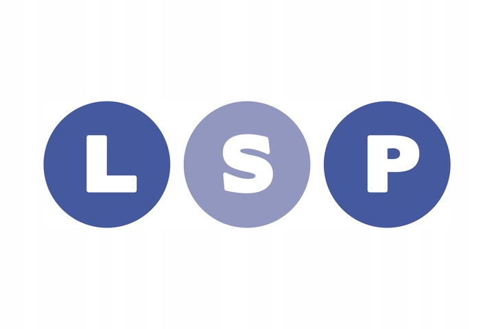 KĄTOWNIK SPAWALNICZY MAGNETYCZNY ZESTAW KĄTOWNIKÓW MAGNETYCZNYCH LSP