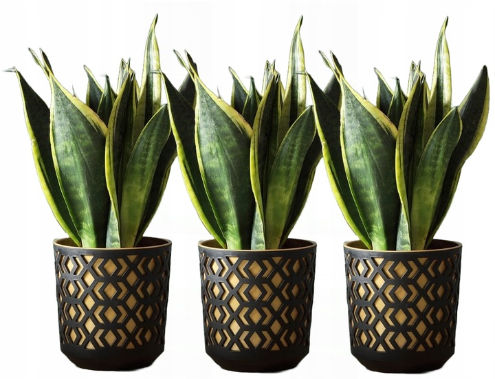 ZESTAW 3 DONICZEK AZTEK śr. 19,5cm CZARNY/ZŁOTY Lamela