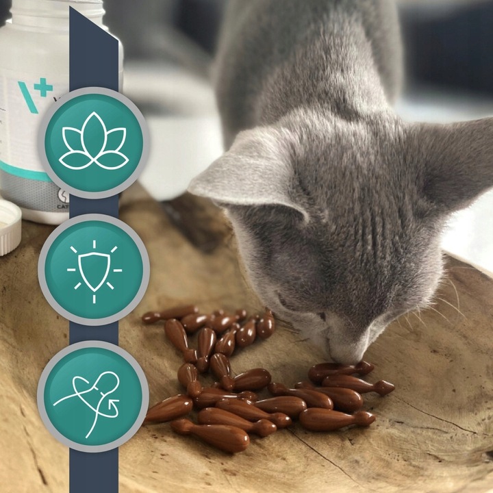 Vetexpert KalmVet ADVANCED TwistOff objawy stresu pies / kot 60 kapsułek