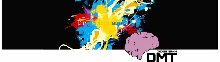 Beer Inside, intel, Koszulka T-shirt