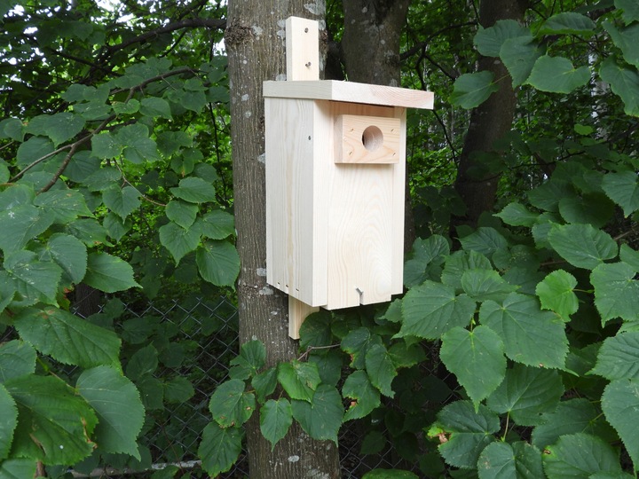Budka lęgowa dla ptaków typ A wróbel sikorka budki lęgowe