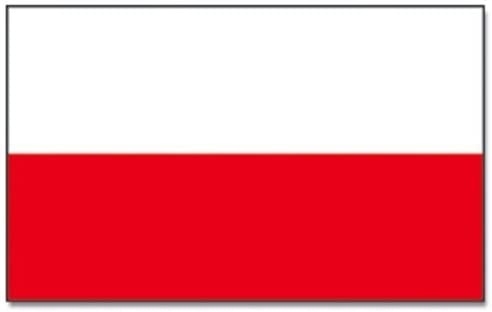 Drabina, podest, platforma robocza 91cm - do 150kg