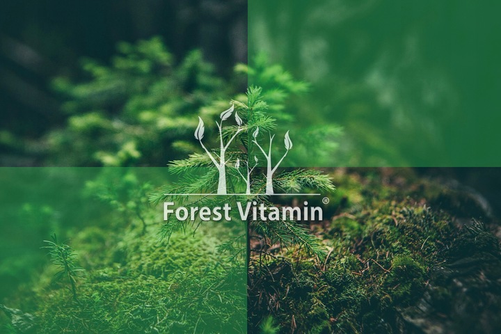 PURE CREATINE 500g KREATYNA MONOHYDRAT SIŁA MASA