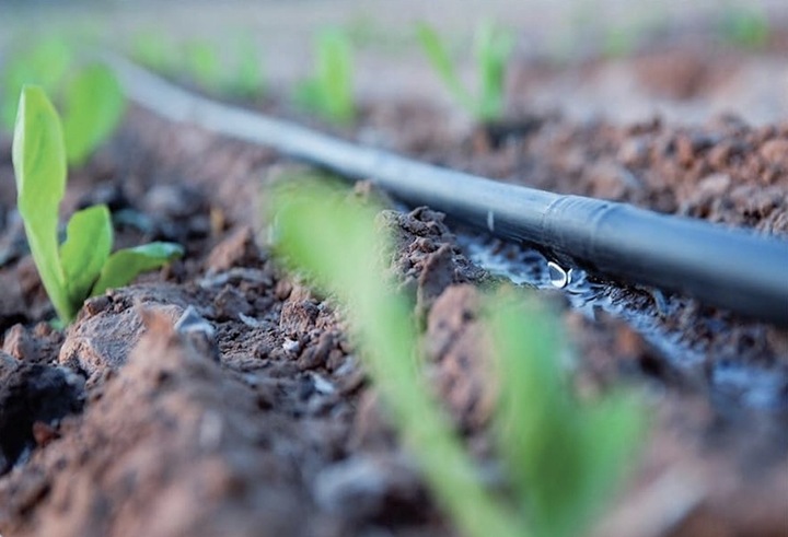 LINIA KROPLUJĄCA XXL 100m + 100el NAWODNIENIE KROPELKOWE WĄŻ KROPELKUJĄCY