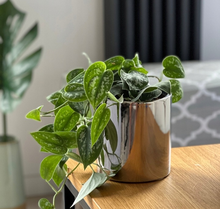 Doniczka Osłonka Ceramiczna Walec Srebrny Do Kwiatów i Kompozycji 15 cm