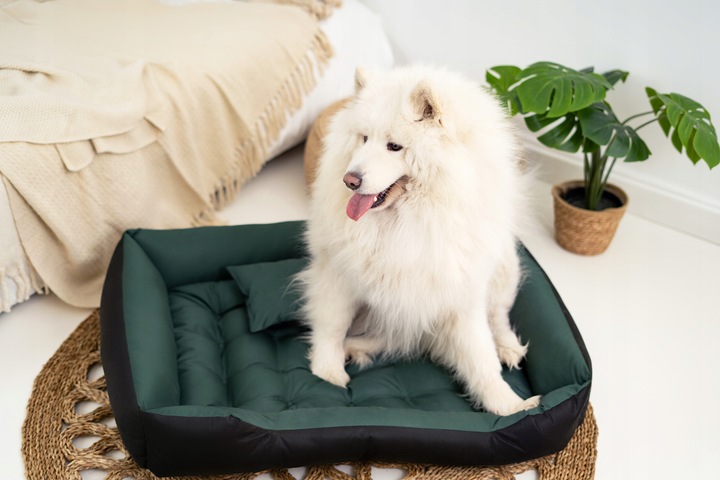 Legowisko dla Psa Kota Posłanie Kanapa Kojec Wodoodporne Zielone 75x65 cm