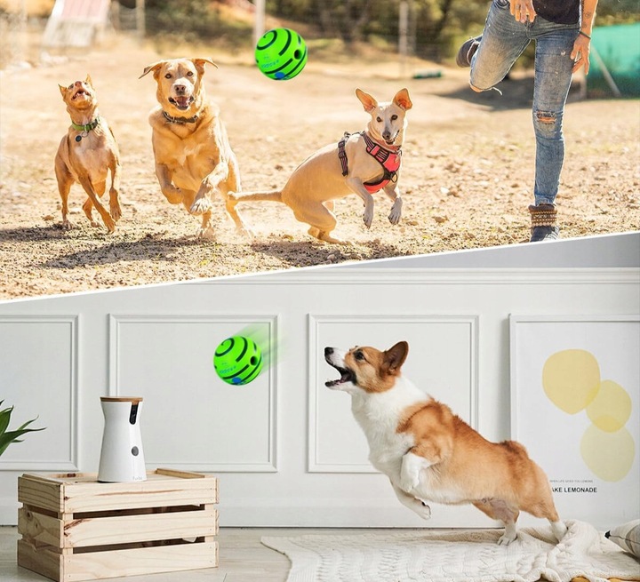 Interaktywna Zabawka dla Psa Piłka z Dźwiękiem Wytrzymała Dużych Ras Psów