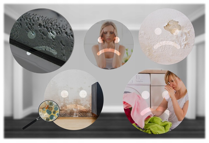 OSUSZACZ POWIETRZA POCHŁANIACZ WILGOCI DUŻY CICHY MOCNY 2200ML 90W