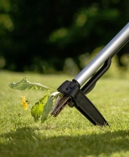 CELLFAST IDEAL WYRYWACZ CHWASTÓW 42-202