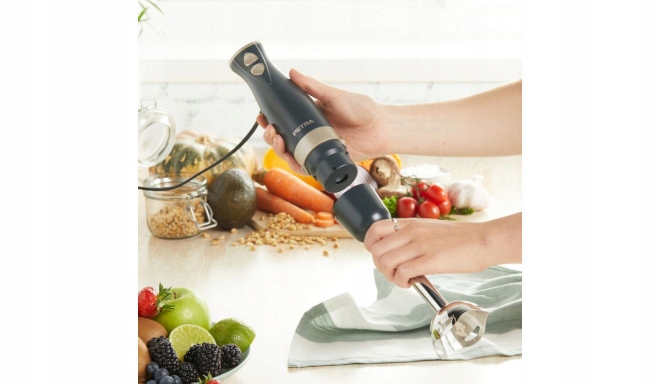 Blender ręczny Petra 076237 600 W srebrny/szary