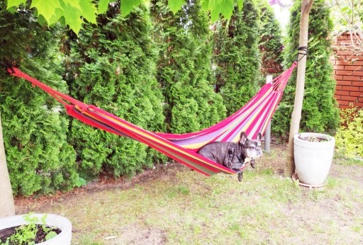 Hamak Ogrodowy 200x80 Lato 1os. + GRATIS !!!