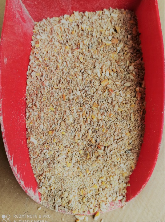 Kurka Naturka Nioska Sypka pasza dla kur 25kg