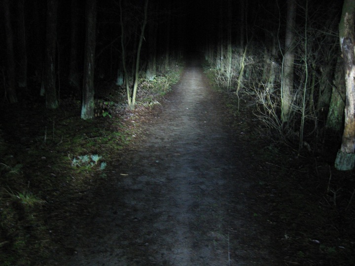 Żarówka LED BA20D 35W 12V Junak Zipp Romet skuter