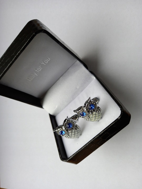 Srebrne spinki do mankietów koszuli Ptak Sowa