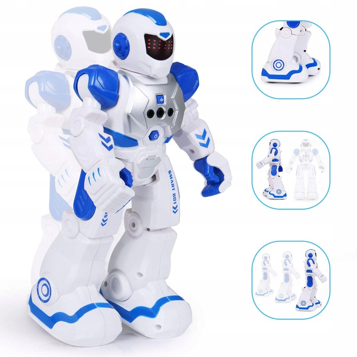 ROBOT ZDALNIE STEROWANY PROGRAMOWANY INTERAKTYWNY