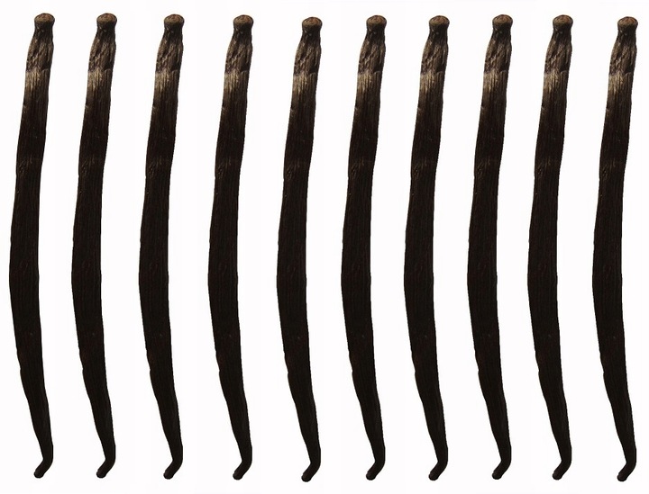 WANILIA LASKI 10 SZT 10-14 cm Laska Wanilii JAKOŚĆ 1 ŚWIEŻE, WILGOTNE LASKI
