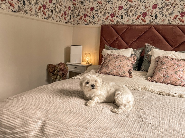 Nawilżacz powietrza MPM Haus&Luft HL-NE-01