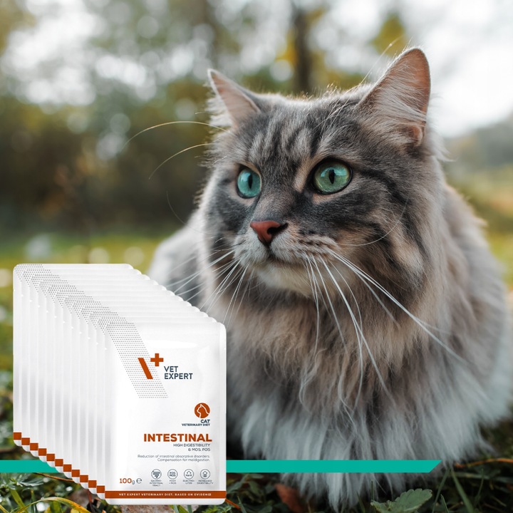 Mokra karma dla kota kurczak indyk VET EXPERT INTESTINAL12x saszetka 100g