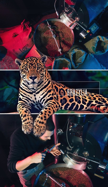 Kawa Mielona Świeżo Palona 100% Arabica Brazylia 500G Eight Cafe