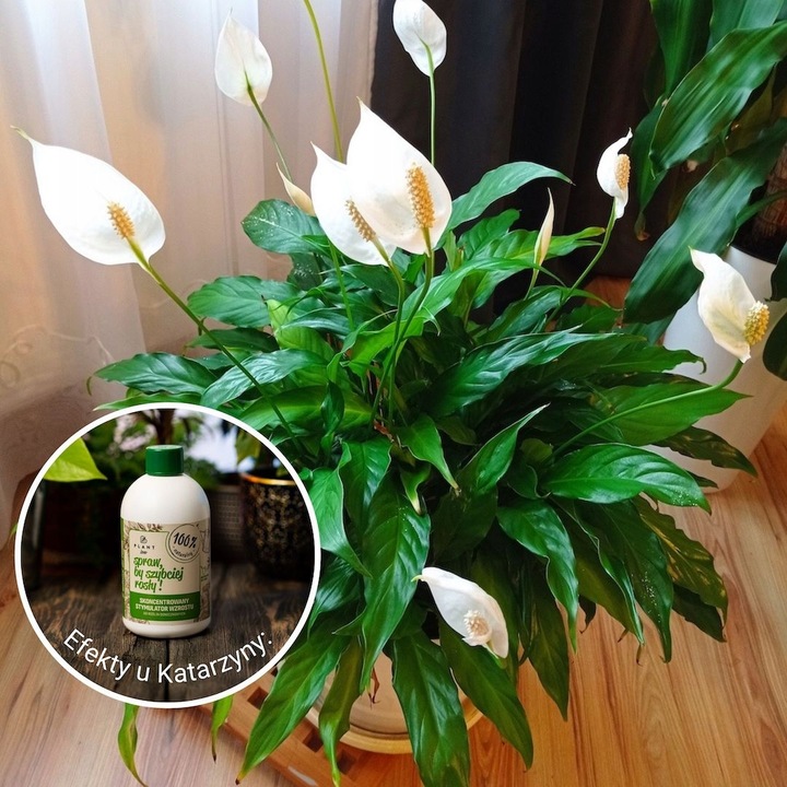 Spraw, by szybciej rosły 500 ml | Plant lover| stymulator wzrostu do roślin