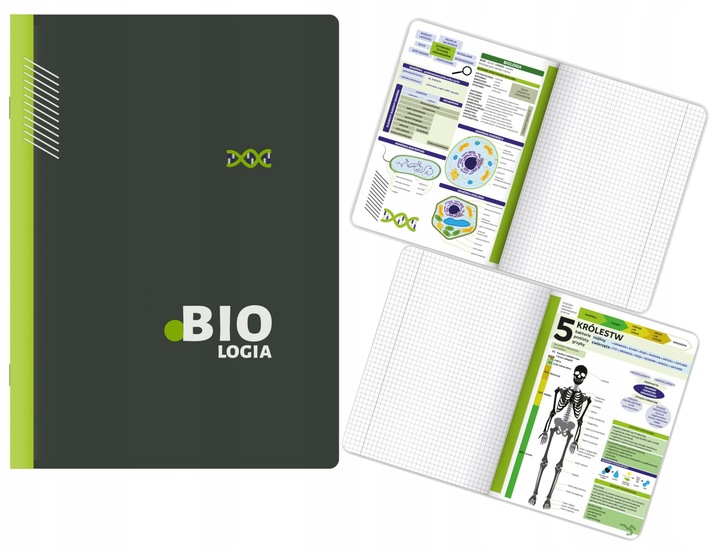 KOMPLET 8 ZESZYTÓW ZE ŚCIĄGĄ KLASA 7-8 A5/60K ŚCIĄGA KOLOROWA 60 KARTEK